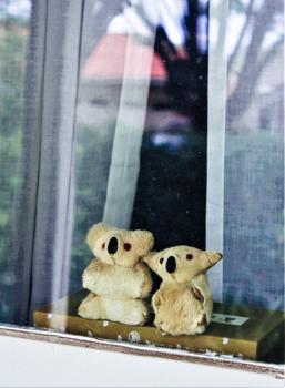 Two teddies