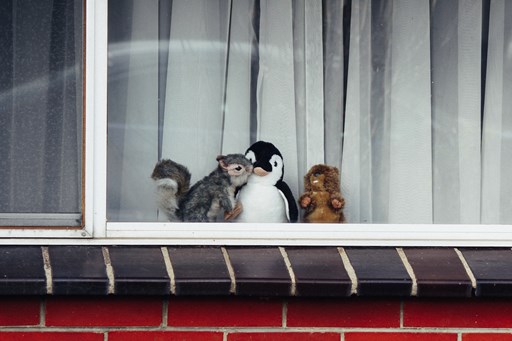 Soft Toys in Window