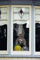 Toy Sloth in Window