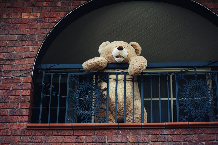 Teddy on Balcony