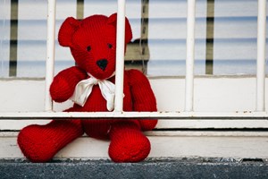 Red teddy bear in a window