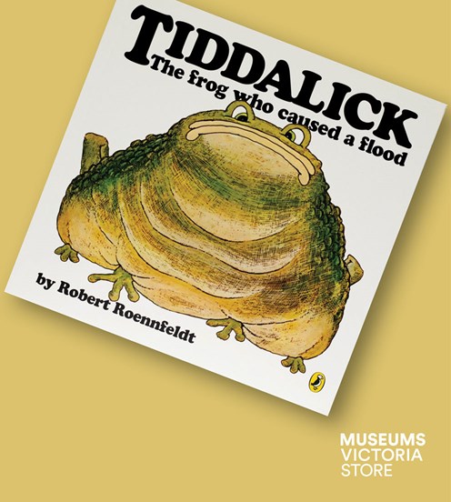 Flat lay image of a book called "Tiddalick" on a khaki  background