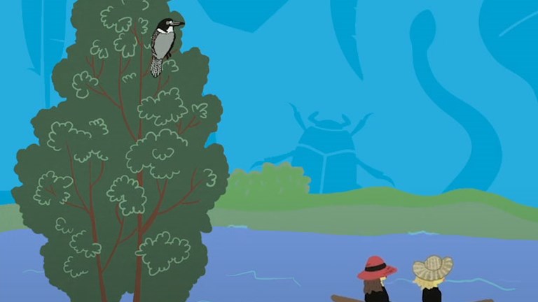 Screen shot of river animation