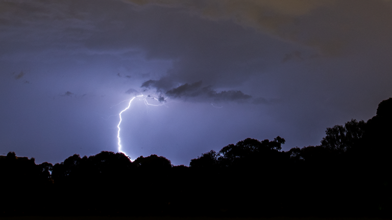 Lightning strike behind trees