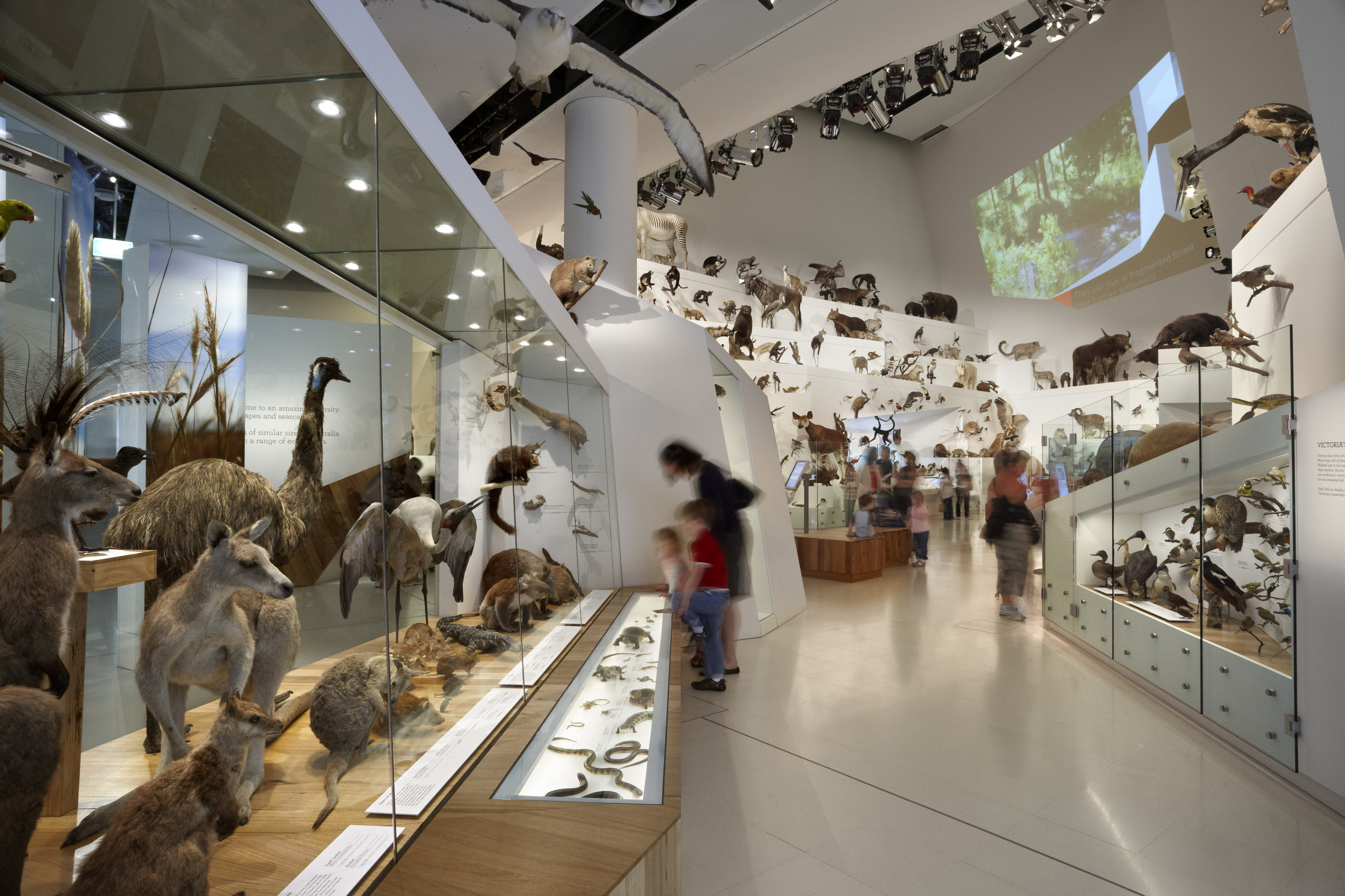 A WILD chapter in the museum story to close after 11 years - Museums  Victoria