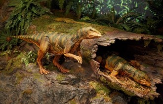 Animatronic models of Qantassaurus. One is inside a log; the other, outside.
