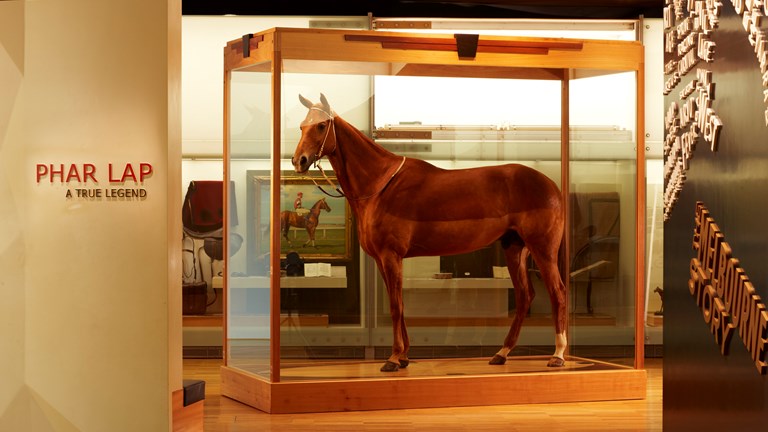 Horse Phar Lap on display in the Melbourne Story gallery