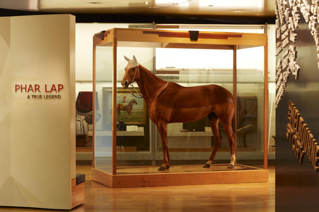 Horse Phar Lap on display in the Melbourne Story gallery