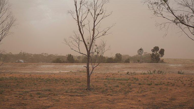 A dust storm approaches, by the roadside, via Tiega