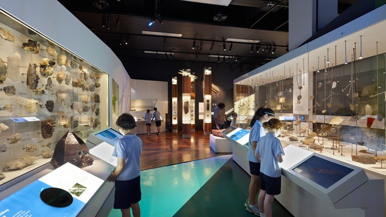 School students examining showcases in 600 Million Years Exhibition. 
