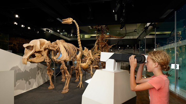 Visiting child using Dino-viewer to view Diprotodon skeleton.  