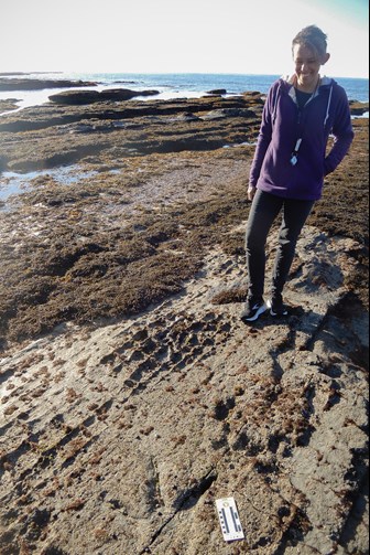 A photo of a woman smiling, as she looks at an imprint of the three-toed foot on the rocky beach