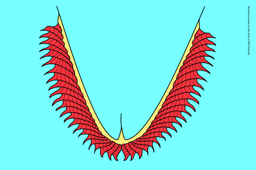 Illustration of Isograptus victoriae