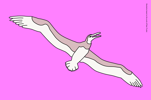 Illustration of Pelagornis
