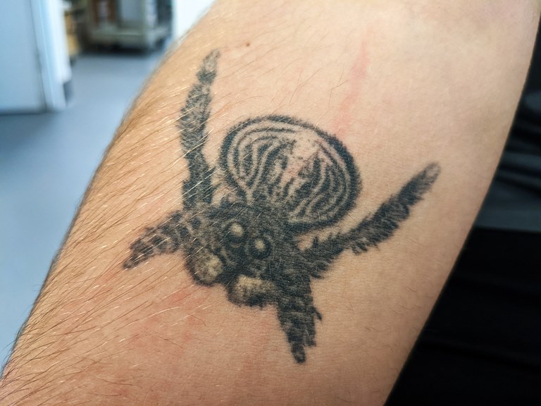 a black tattoo of a spider on a young man's arm