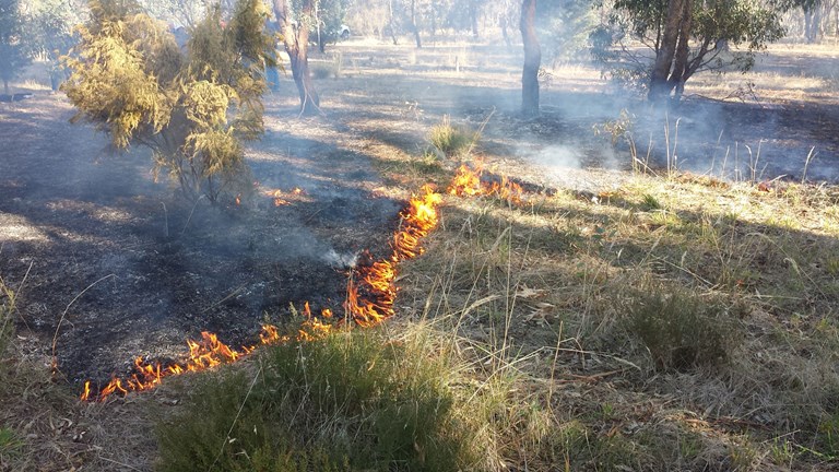 Small grass fire