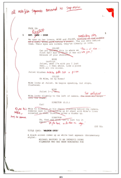An annotated script for one of the scenes in James’ short film ‘Magnum Opus’.