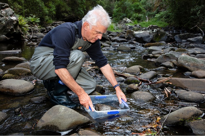 a silver haired man using a blue tray to sift water in a rocky river bed