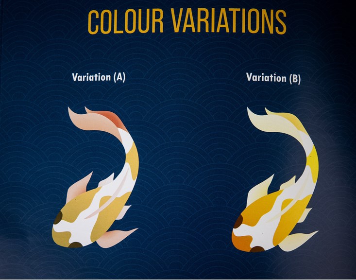 A photograph of a blue patterned page from a style guide. Two illustrated Koi fish are shown with variations of the colours orange, yellow and white.