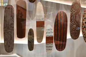 Various indigenous Shields in display case
