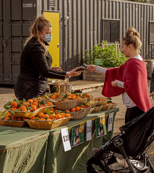 Woman buy orange citrus fruit at a farmers market