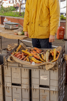 Crate of carrots