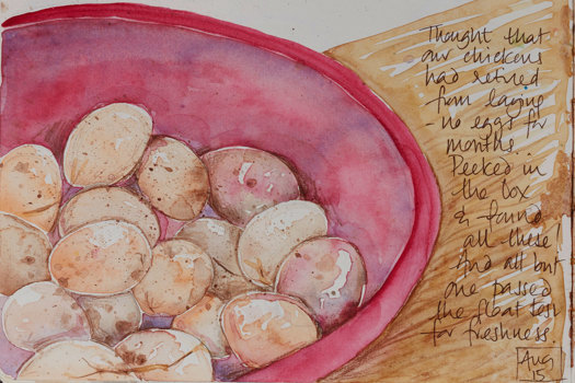 sketch of eggs