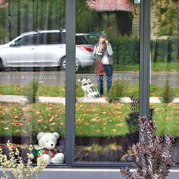 Reflection of a woman and her dog on the street in the window