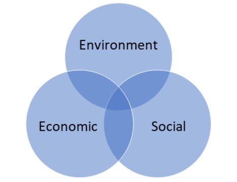 Venn diagram: three circles variously reading Environment, Economic and Social