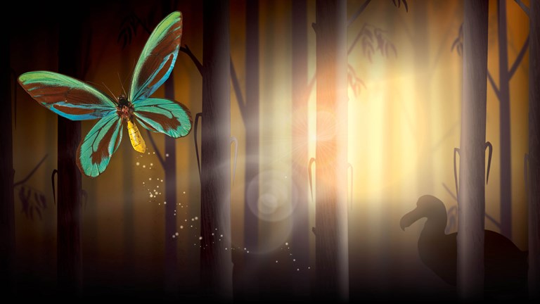 Queen Alexander butterfly overlay a graphic representation of a forest bathed in golden light. The silhouette of Dodo can be seen