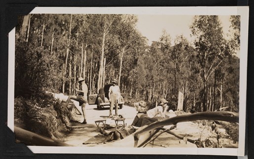 Group of people having a picnic in a bush setting