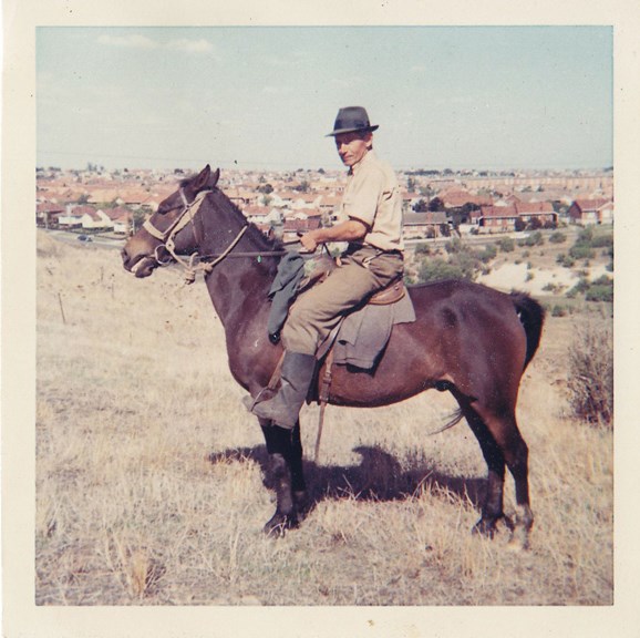 Man riding brown horse
