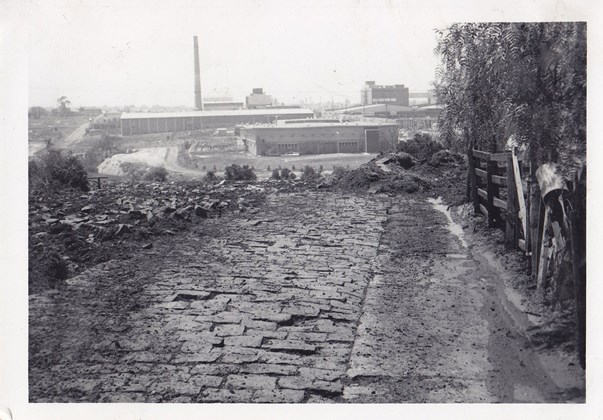Cobbled lane with buildings in the distance.