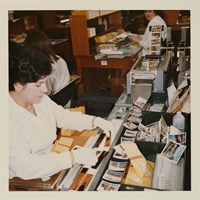 Woman wear white gloves sorting photographs
