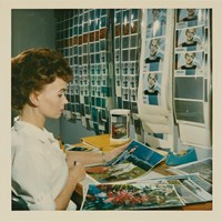 Woman wearing white looking at large print photographs