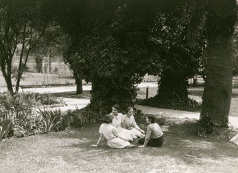 Four women sitting on the grass