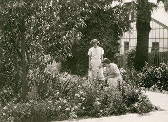 Two women looking at plants