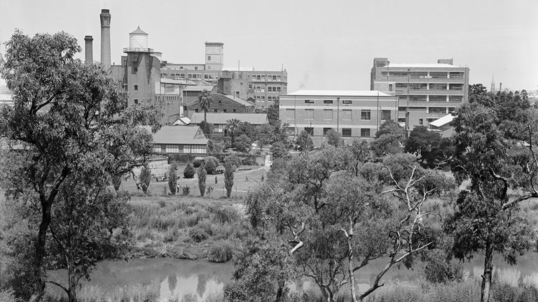 A view of factory buildings on the bank of a river from the opposite side