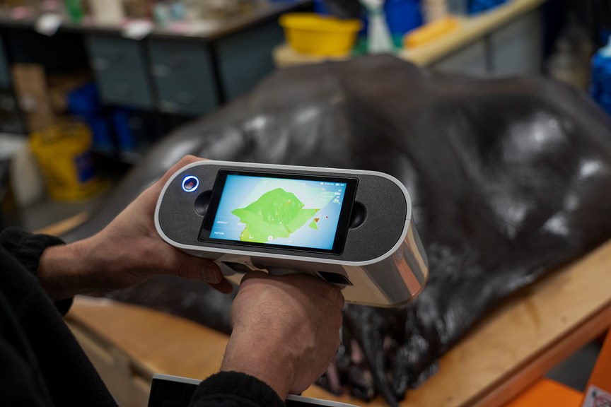 a handheld device showing the progress of 3D imaging a devilray specimen