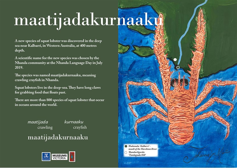 a poster with a drawing of a small crustacean with long claws