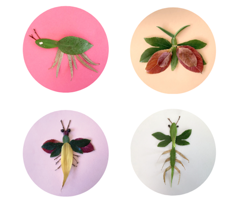 insects made from leaves and twigs