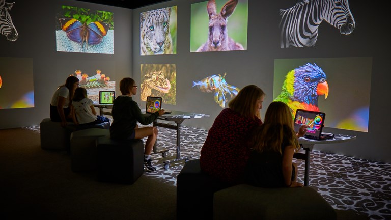 Five people (two adults and three children) sit in Melbourne Museum's Learning Lab using iPads to create digital art. Photographs of animals are projected onto the walls of the room. Animals projected include butterfly; leopard; kangaroo; zebra; caterpillar; lizard; squid and rainbow lorikeet.