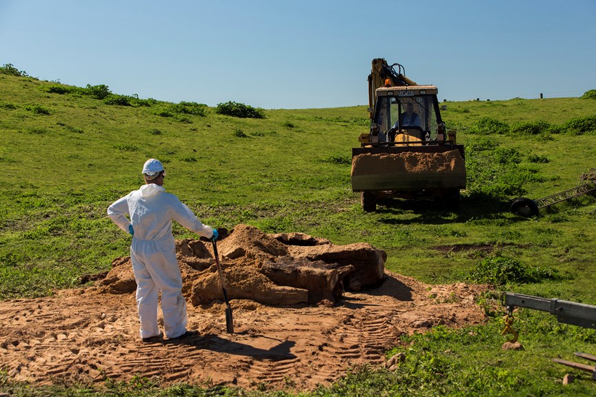 A man in a white protective suit stands on a bed of sand in a green field with a large yellow earthmover nearby 