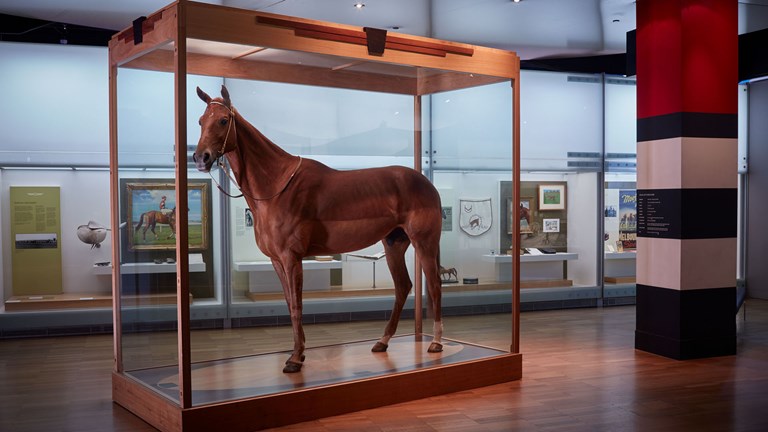 A chestnut horse in a glass case