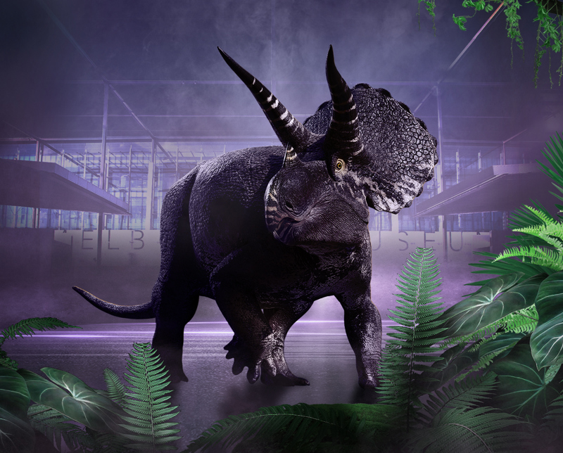 Book your visit with Horridus!
