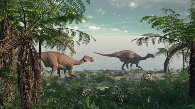Illustration of two dinosaurs in  forest
