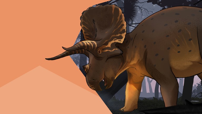 Illustration of a Triceratops