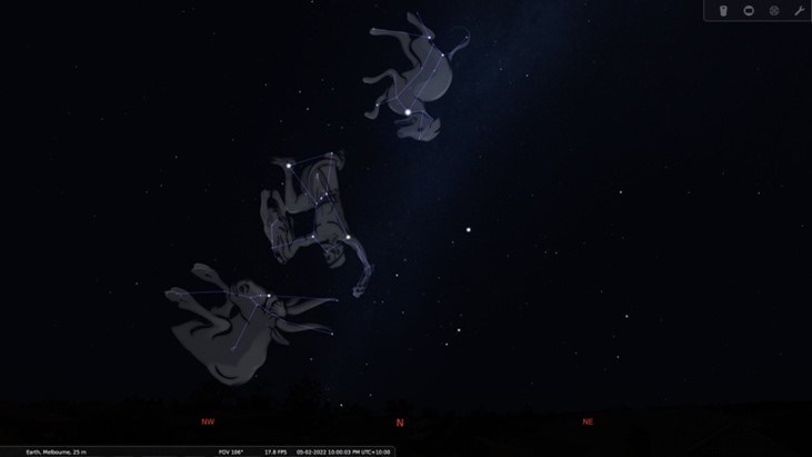 Constellations in the night sky