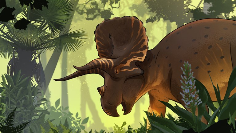 Illustration of a Triceratops in a lush environment