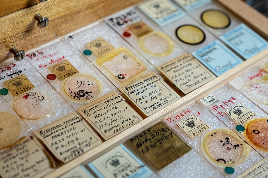 A photograph of colourful glass slides in a wooden drawer